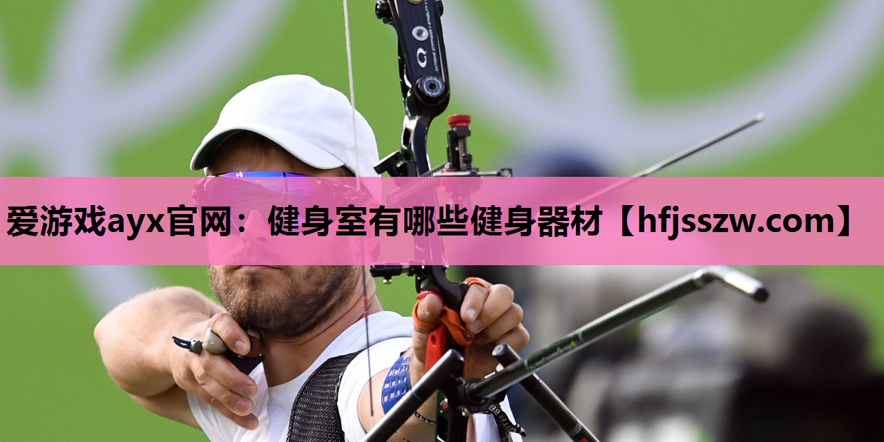 爱游戏ayx官网：健身室有哪些健身器材