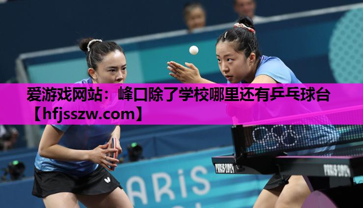 爱游戏网站：峰口除了学校哪里还有乒乓球台