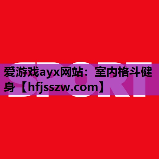 爱游戏ayx网站：室内格斗健身