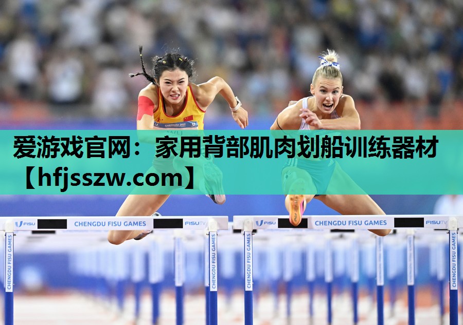 爱游戏官网：家用背部肌肉划船训练器材