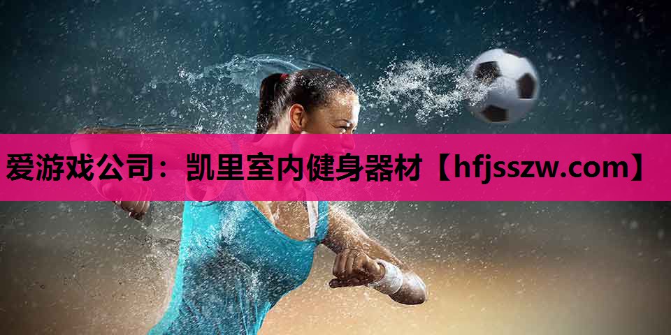 爱游戏公司：凯里室内健身器材