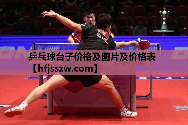 乒乓球台子价格及图片及价格表
