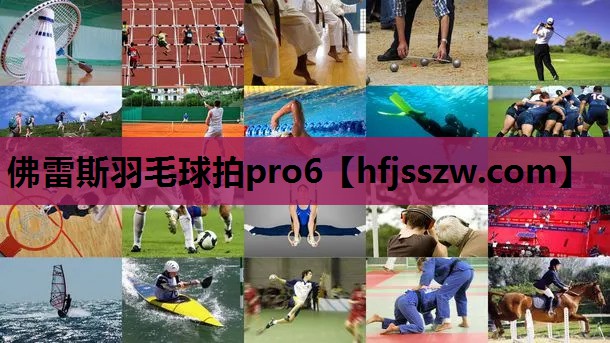 佛雷斯羽毛球拍pro6