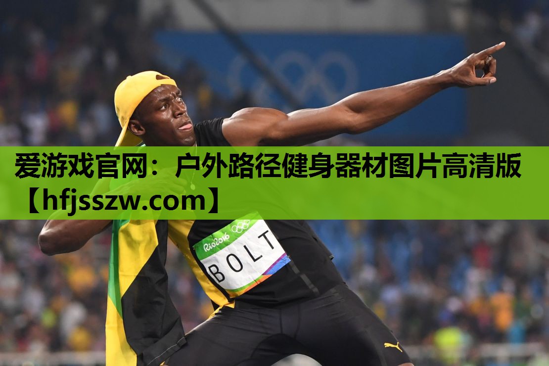 爱游戏官网：户外路径健身器材图片高清版