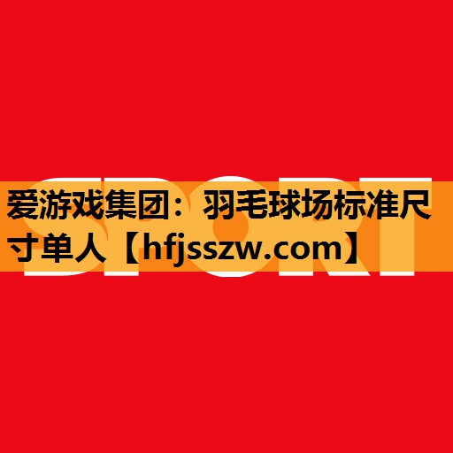 爱游戏集团：羽毛球场标准尺寸单人