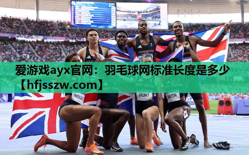 爱游戏ayx官网：羽毛球网标准长度是多少