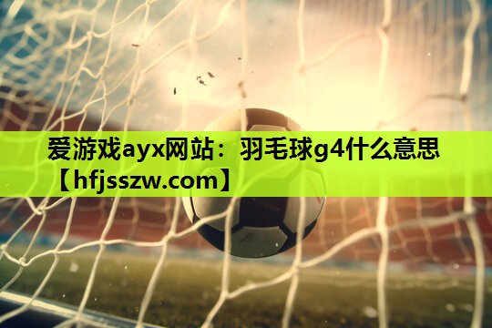 爱游戏ayx网站：羽毛球g4什么意思