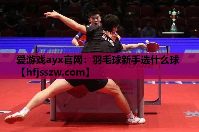 爱游戏ayx官网：羽毛球新手选什么球