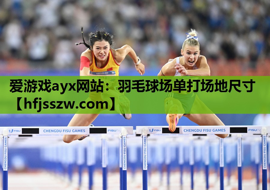 爱游戏ayx网站：羽毛球场单打场地尺寸