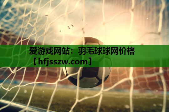 爱游戏网站：羽毛球球网价格