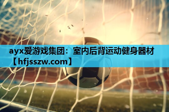室内后背运动健身器材