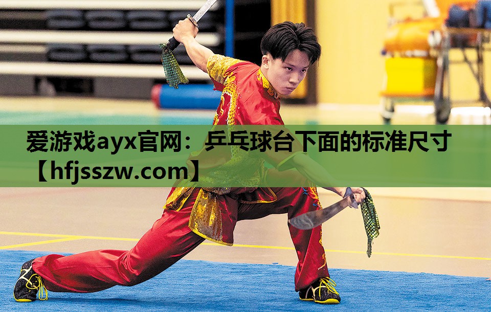 乒乓球台下面的标准尺寸