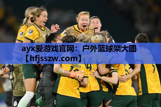 户外篮球架大图
