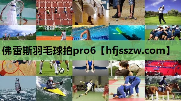 佛雷斯羽毛球拍pro6