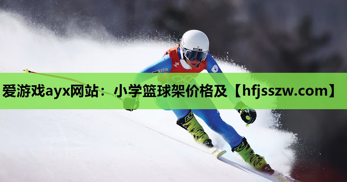 小学篮球架价格及