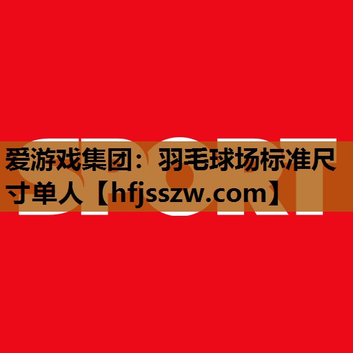 羽毛球场标准尺寸单人