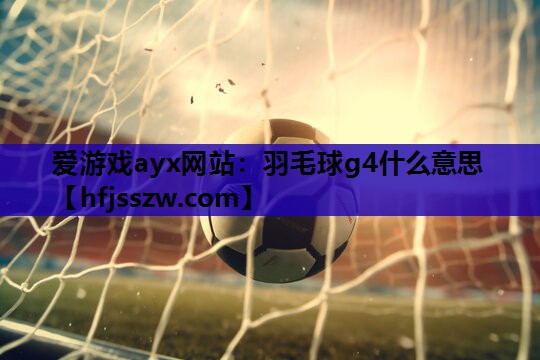 羽毛球g4什么意思