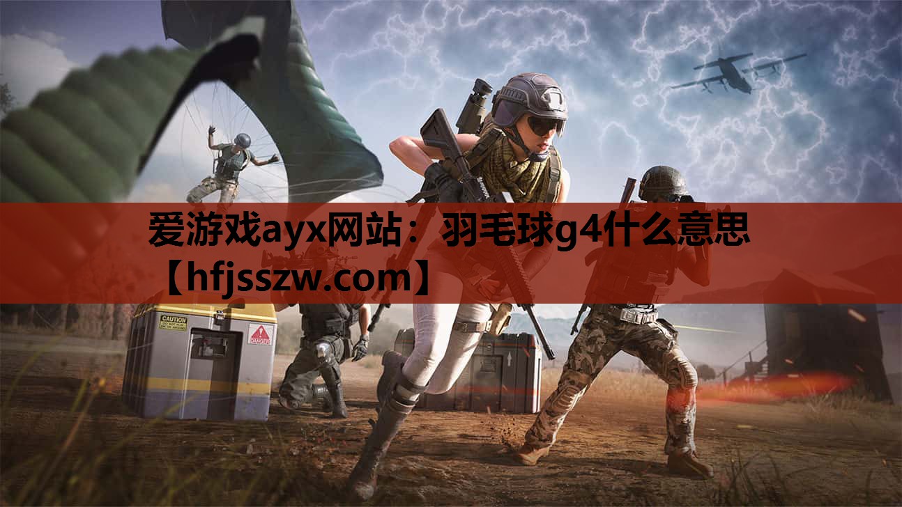 羽毛球g4什么意思