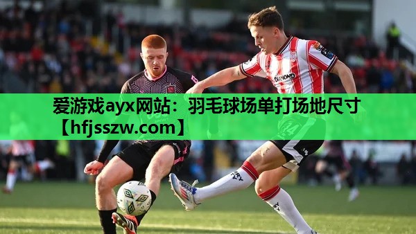 羽毛球场单打场地尺寸