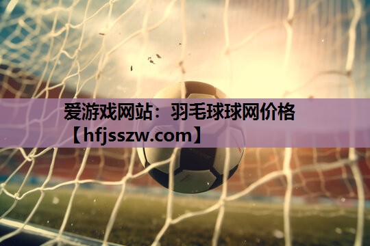 羽毛球球网价格